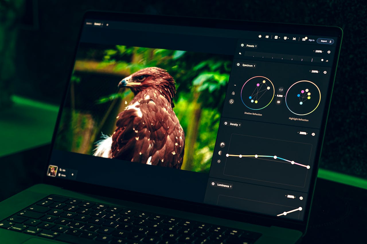 services-02 Laptop screen displaying eagle image editing with color correction tools at night.